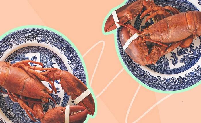 Try the best Maine lobster claws and get them at your home