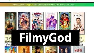 FilmyGod1 Review