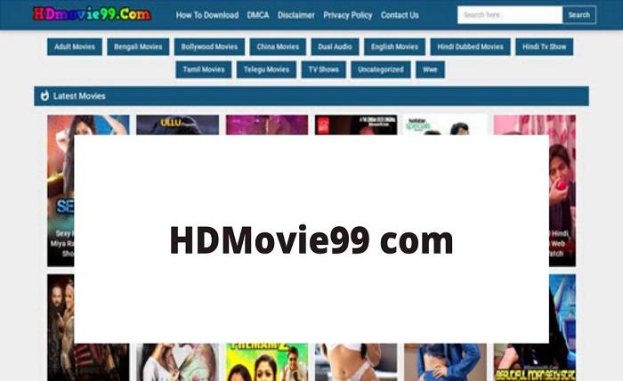 How to Use HDMovie99 Proxy to Unblock Content