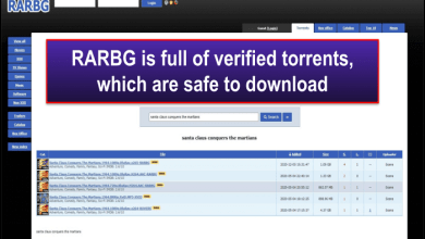 Is RARBG Safe to Use