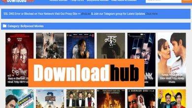 The Pros and Cons of DownloadHub Lite