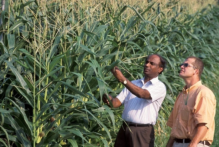 Farmer and Agriculture Specific Special Pages 1