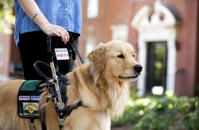 Why Retriever News Matters