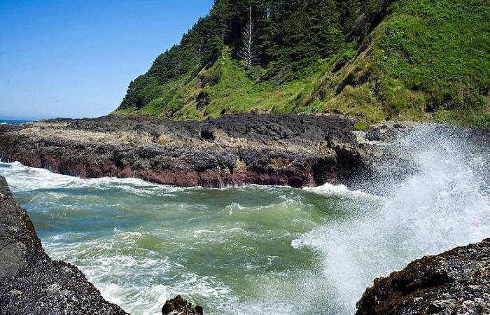 yachats news 2